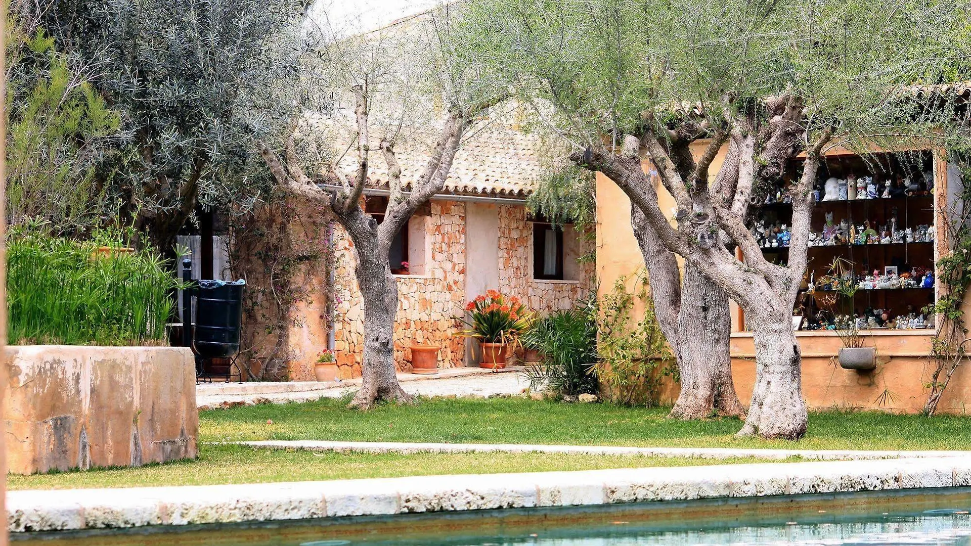Petit Hotel Es Figueral Campos