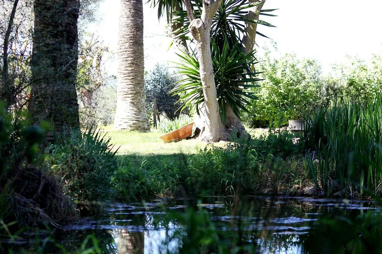 Petit Hotel Es Figueral Campos  3*, Campos (Mallorca)