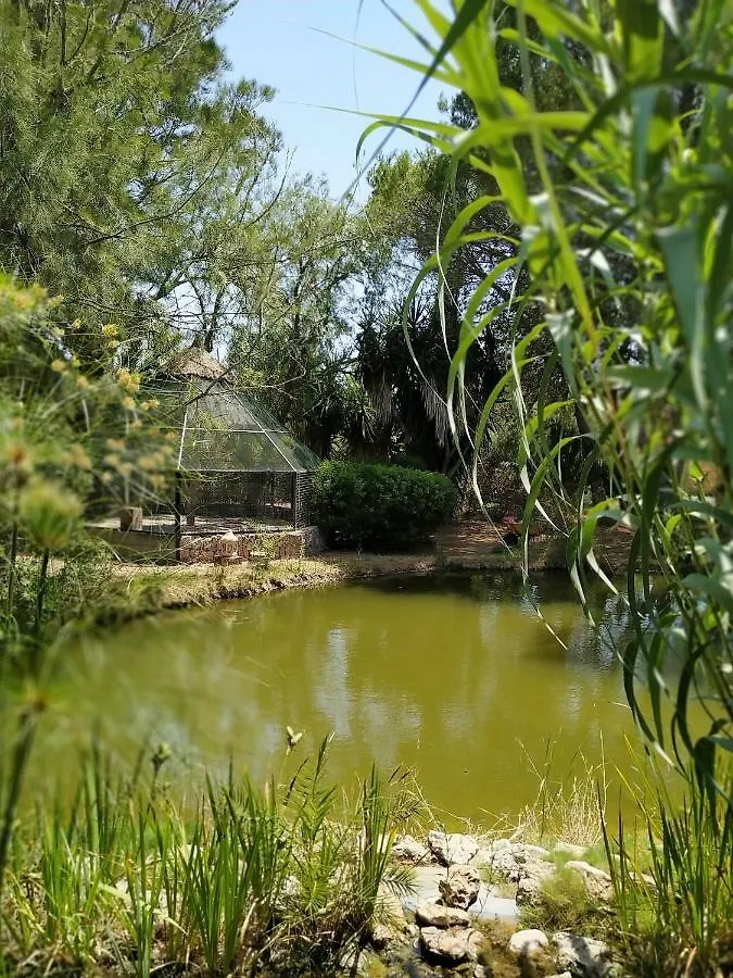Petit Hotel Es Figueral Campos  Spain