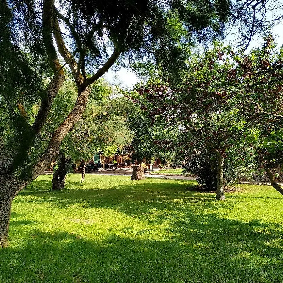Petit Hotel Es Figueral Campos  Spain