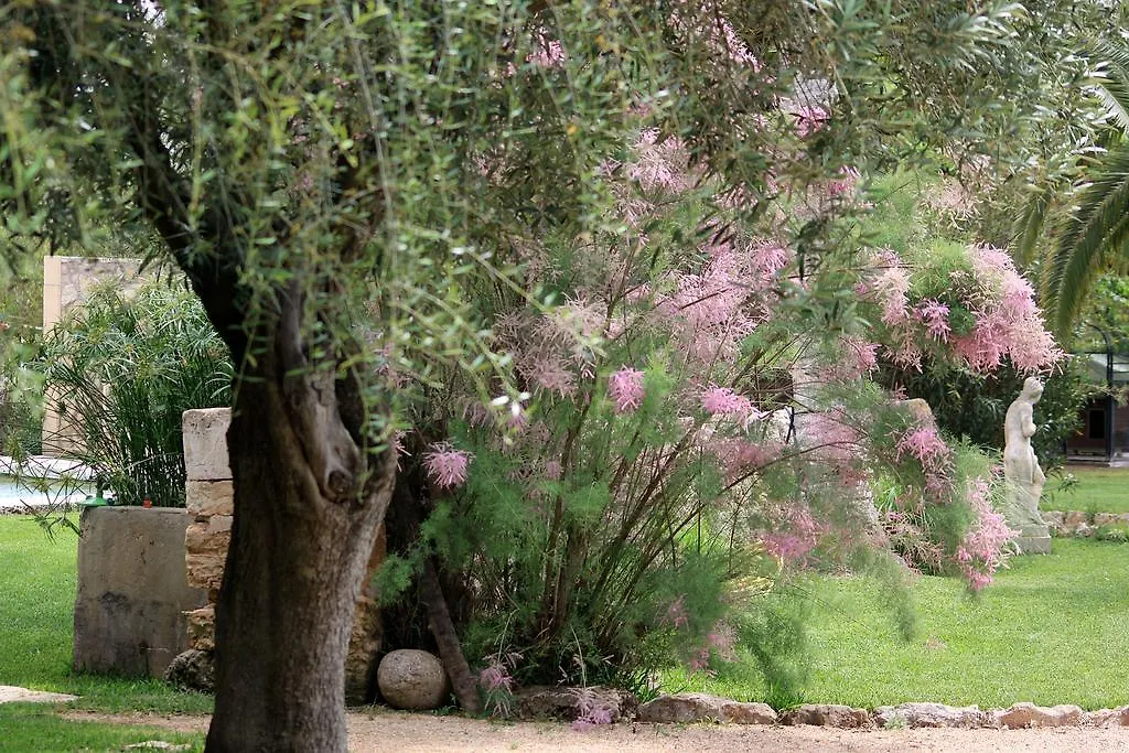 Petit Hotel Es Figueral Campos