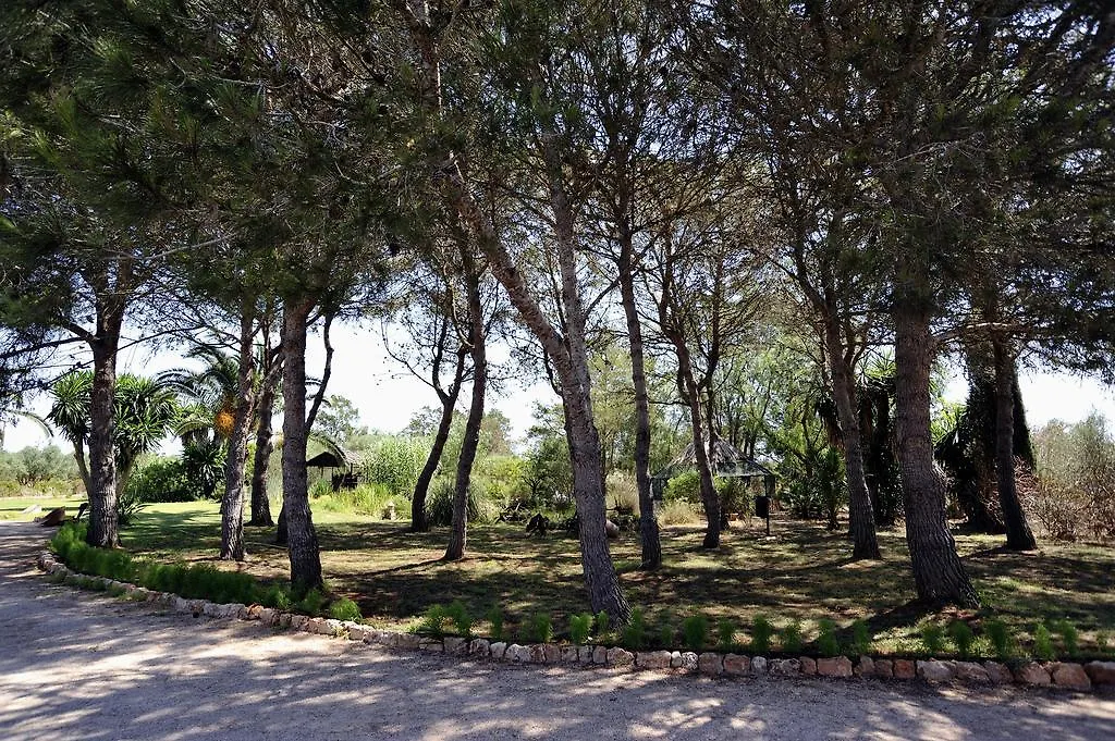 Petit Hotel Es Figueral Campos