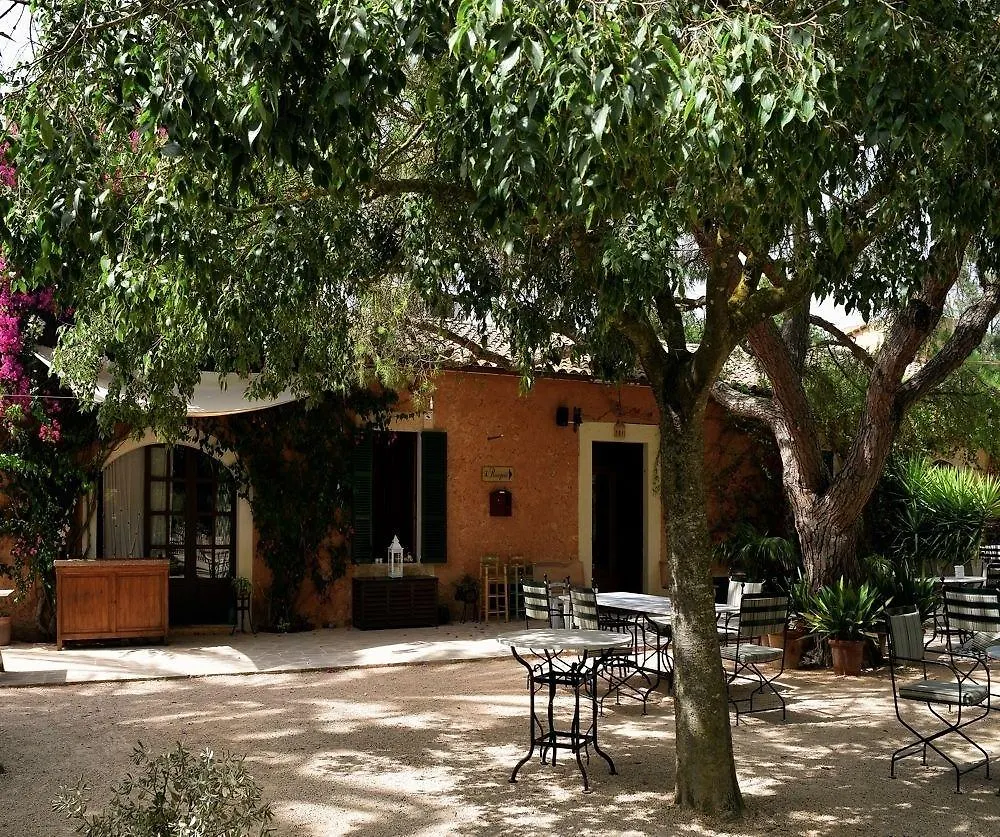Petit Hotel Es Figueral Campos