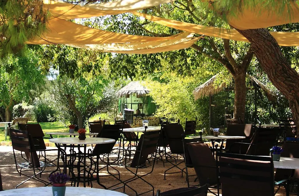 Petit Hotel Es Figueral Campos
